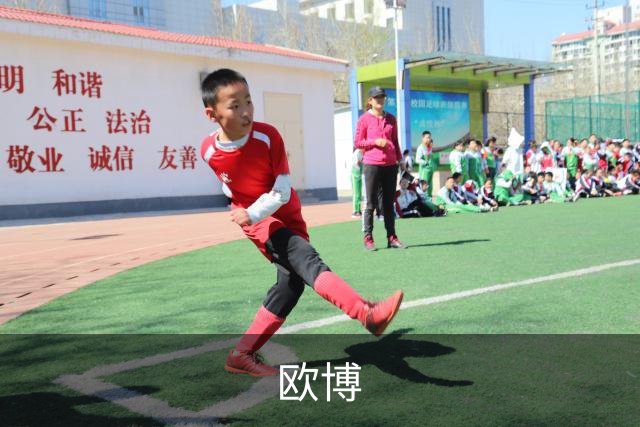 欧博企业介绍